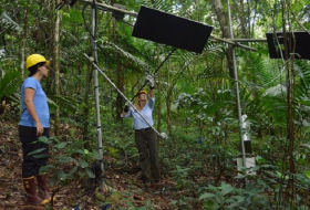 Global warming experiment turns up the heat in Puerto Rican forest